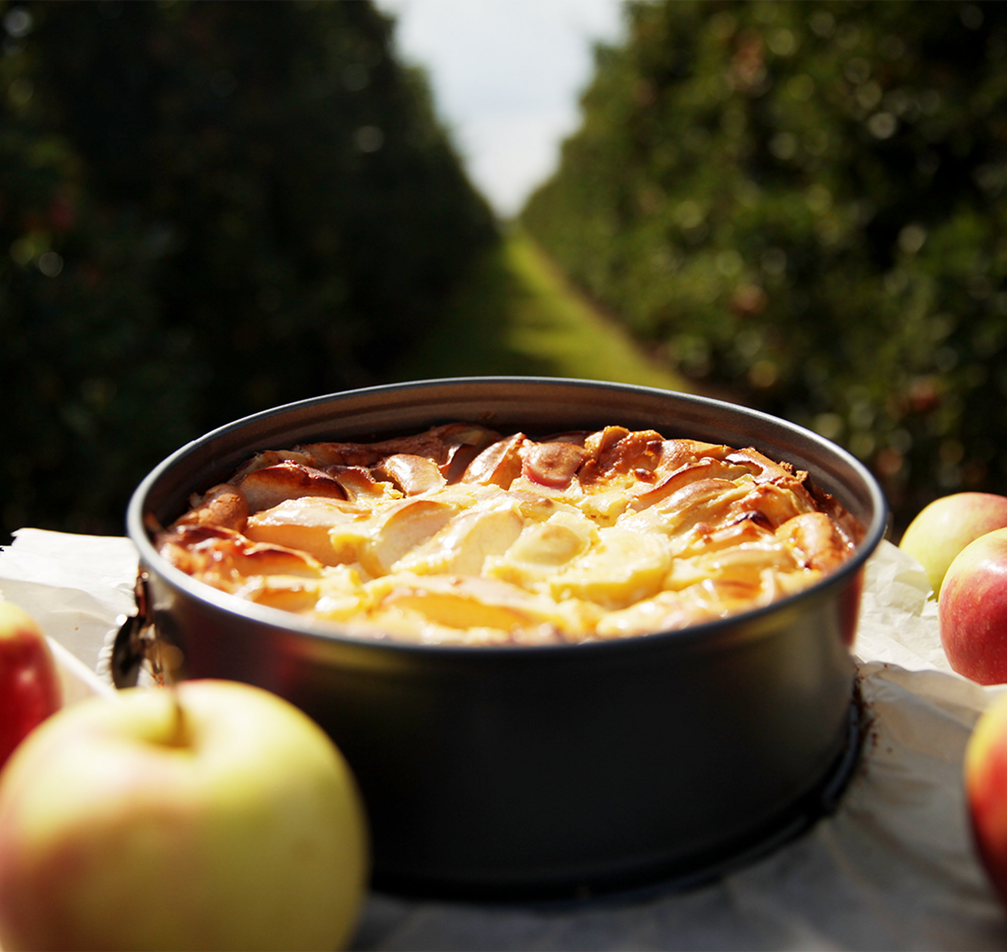 Boeren appelcake recept - 24Kitchen